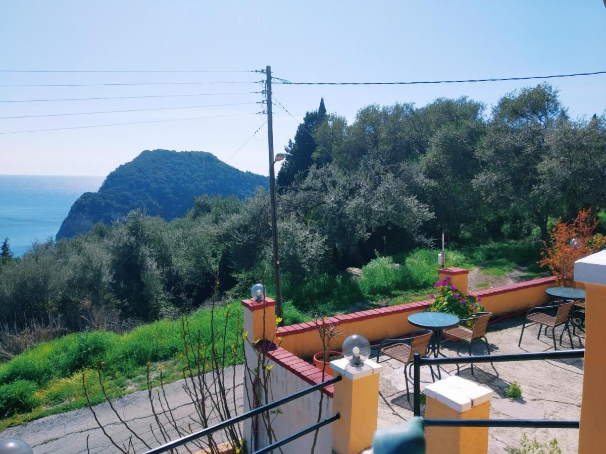 Vassilis